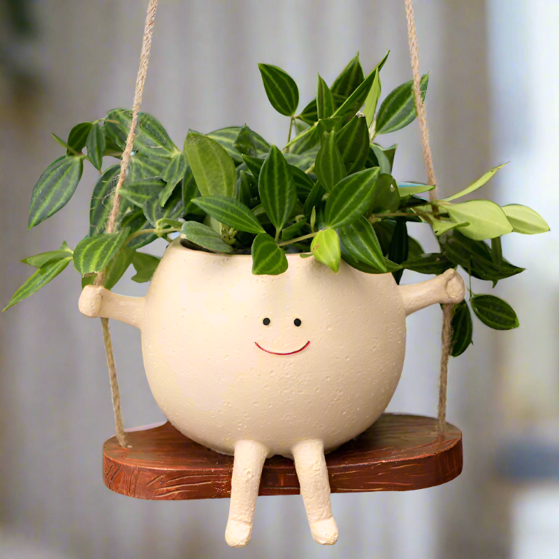 Swing Faces Planter