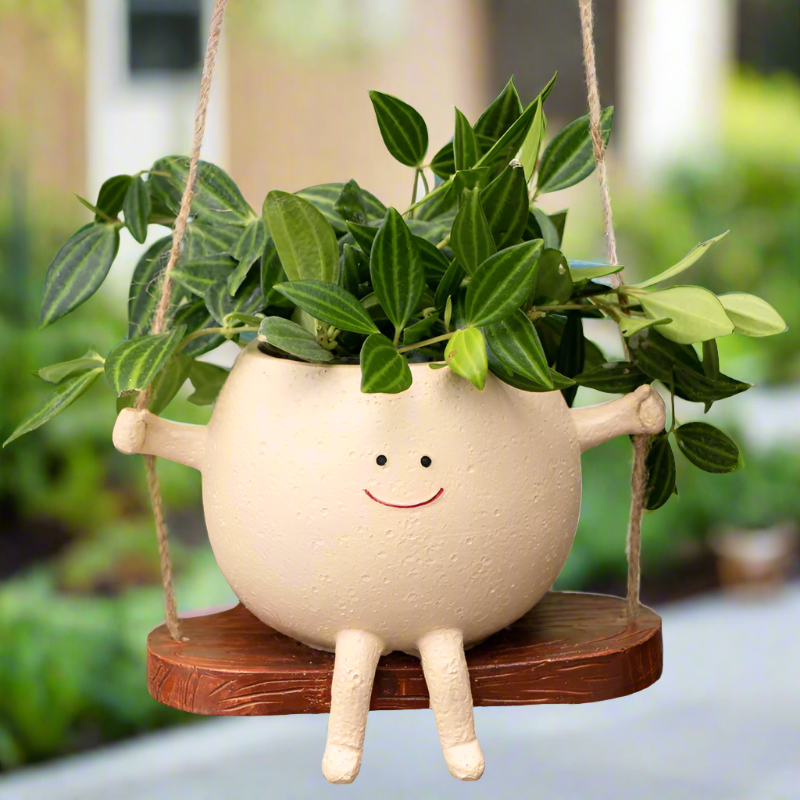 Swing Faces Planter